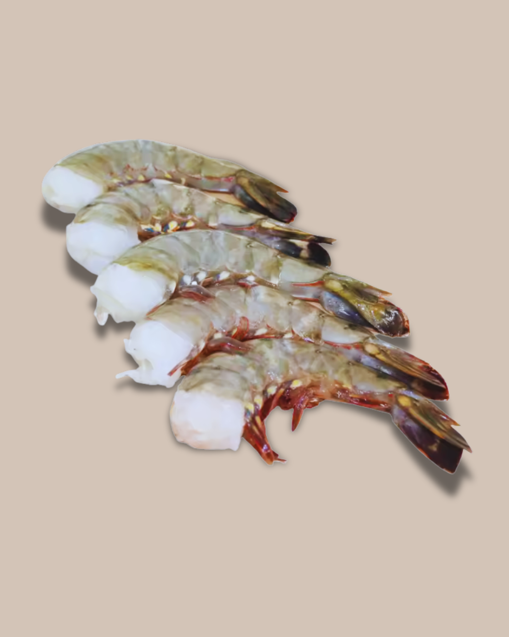 Marqueta de Camarón U12 Alma Salada | Extra Grande, 2.27 kg Crudo Congelado