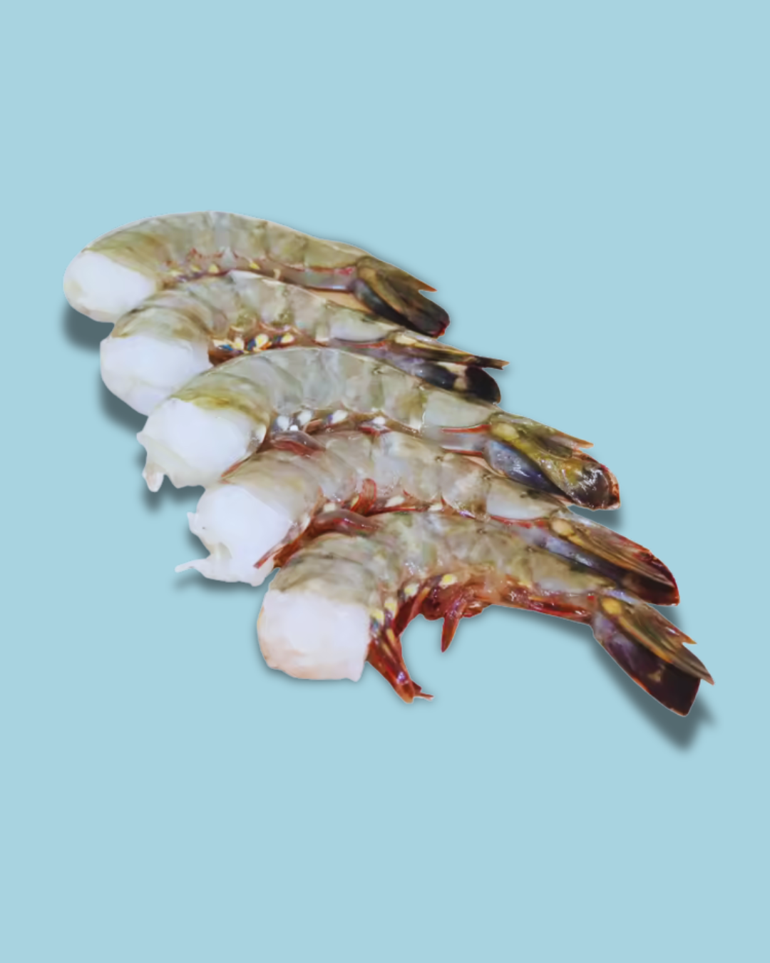 Marqueta de Camarón U12 Alma Salada | Extra Grande, 2.27 kg Crudo Congelado